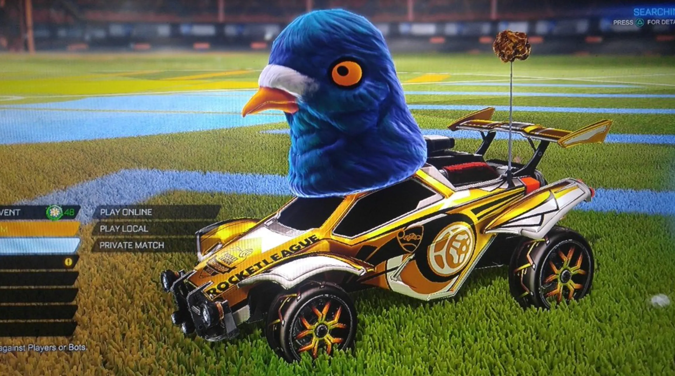 The Pigeon Man title rocket league